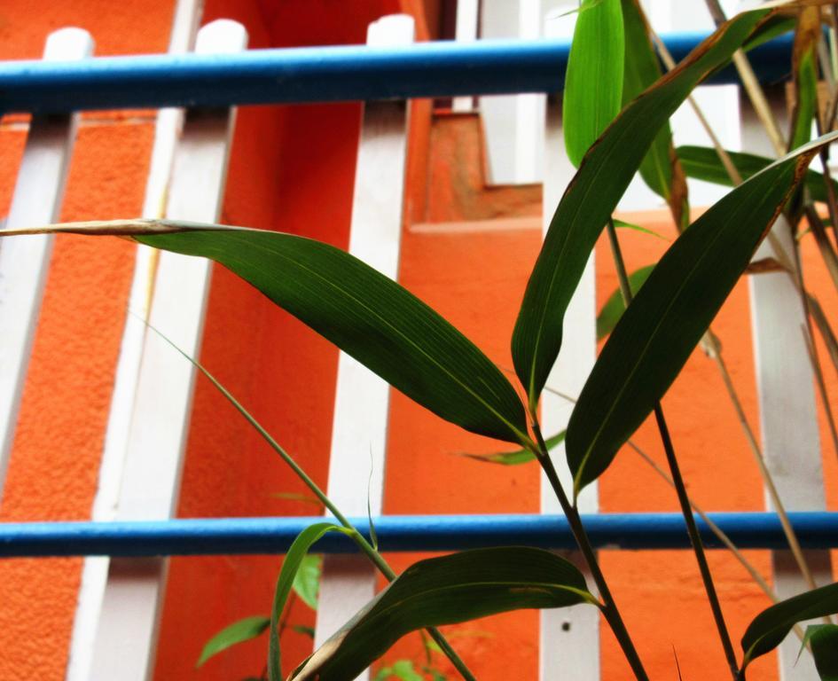 25°C Four Season Youth Hostel Qingdao Bagian luar foto
